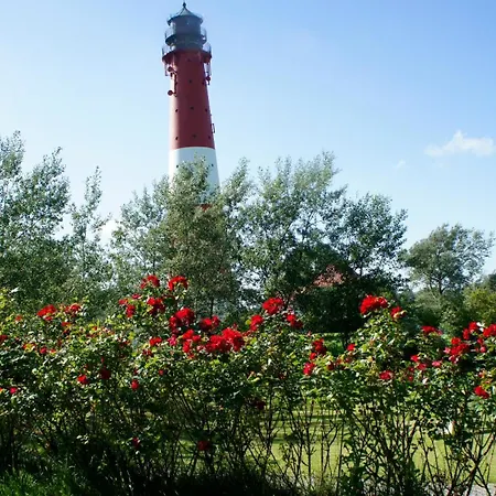 Haus Am Leuchtturm ,,austernfischer Haus 